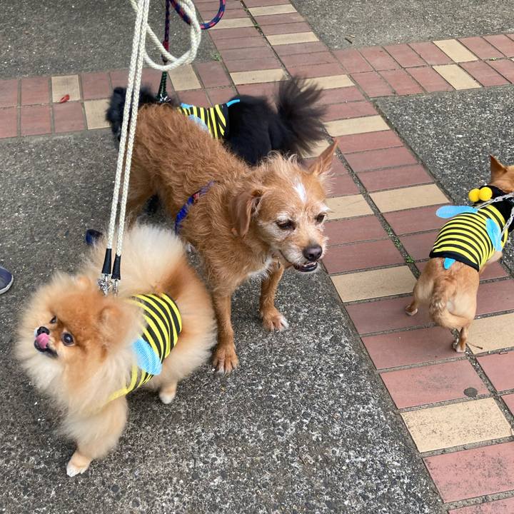 D3fd9833 0e02 4a24 8203 4835e932bea4 1655732919682