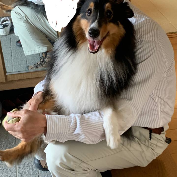 D3fda349 fb42 4752 aae6 9b86749df84f 1590962227651