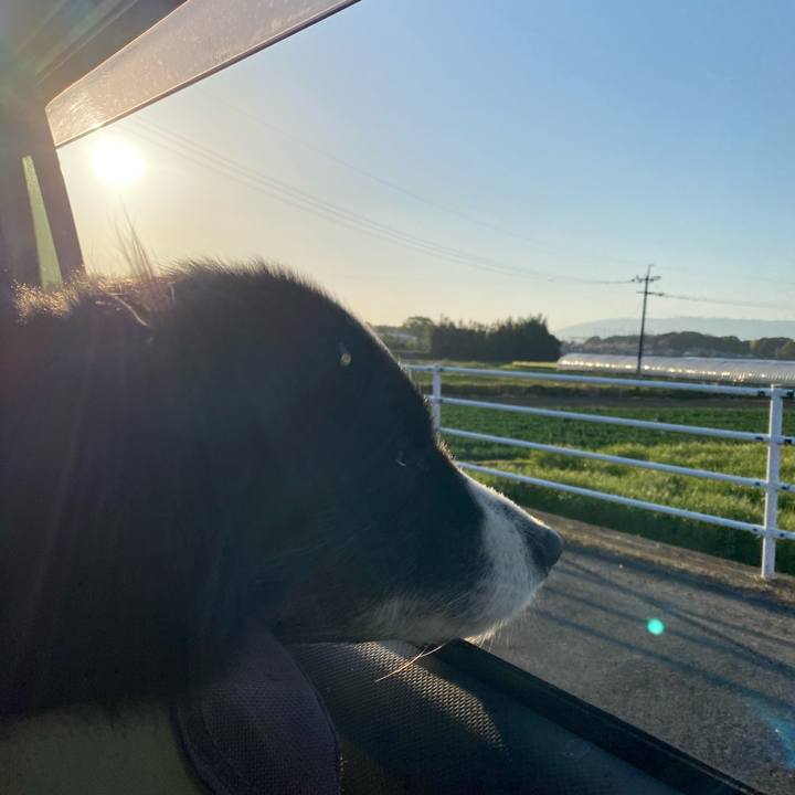 D3fe014e e6f1 47e1 95bc 3a71f3049bad 1680472983580