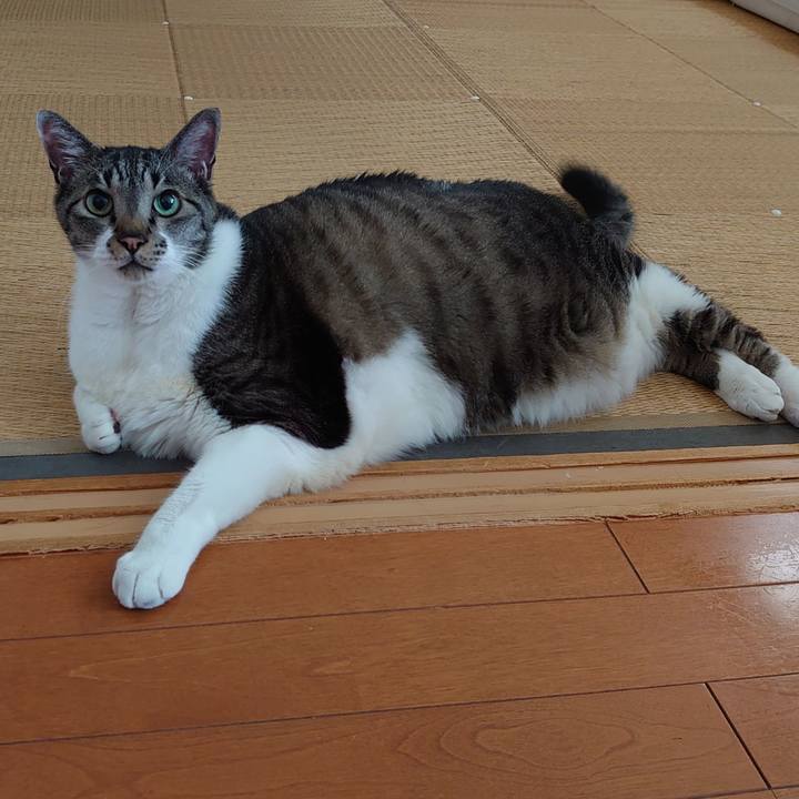 D3fe0b4a 0858 4596 95bd 4fce682dce19 1686102273635