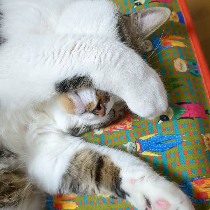 D3fe87c5 27c5 4249 8f99 758dd6e8b7fe 1684842004898