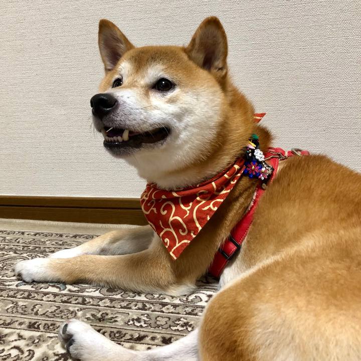 D3feb9b0 1347 442e 89c8 ca125ab754f3 1534760984542