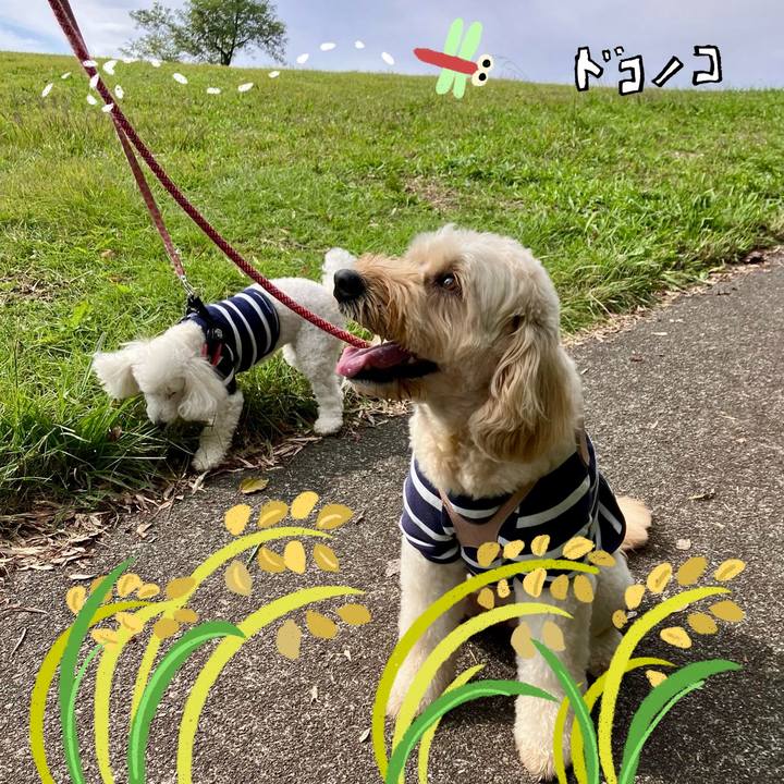 D3fec285 0f3b 4809 b6e8 fd631b38e171 1762309745084