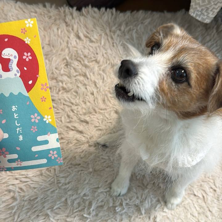 D3ff1804 7e32 4761 acd4 7085ffce0261 1762046936450