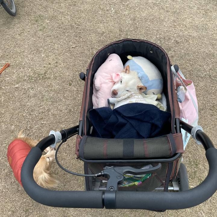 D3ff6d73 0626 40df 9d0e 78d24c3cfcd8 1674384449340