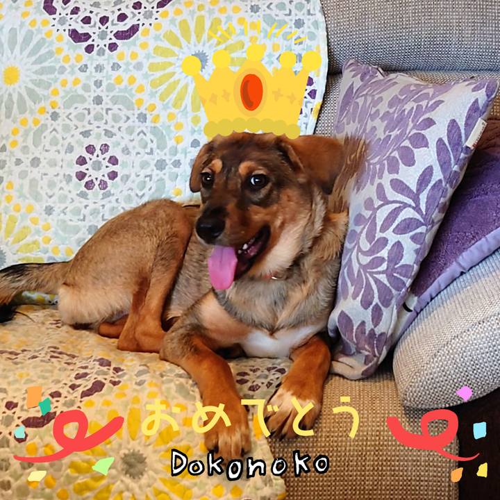 D3ff7568 ba19 4d71 99ee 69892981b83e 1685946547914