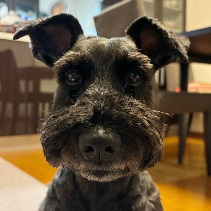 D3ff890c 3f91 4bb6 ab4b 3ee33c0e89a6 1750031233364