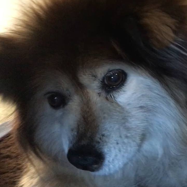 D3ffa8e7 95d0 4f6f ab1d 5e41bdd1a091 1599270356374