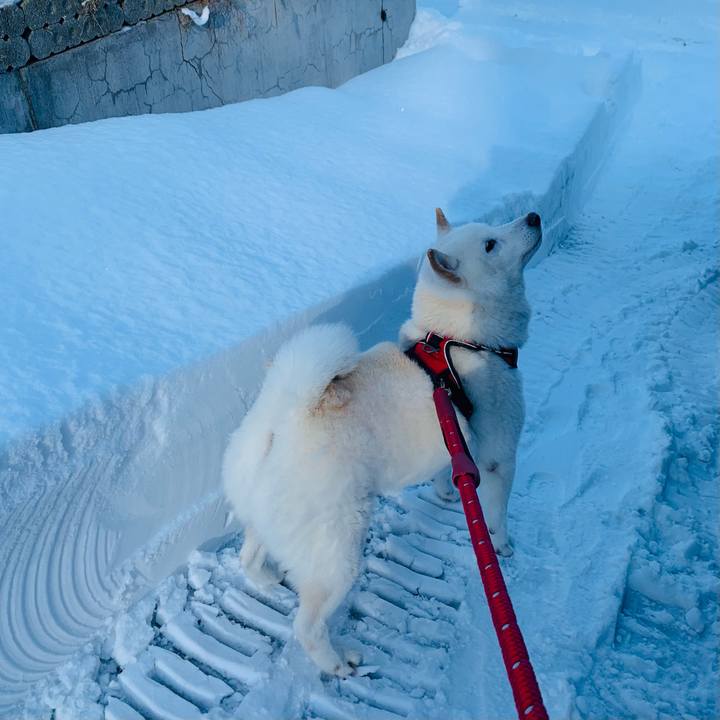 D3ffe7e5 0a43 4327 9ed2 ac6d8947c1c4 1641817597994