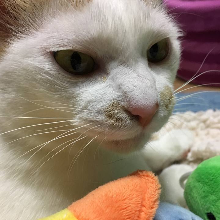 D4001753 4446 4d2d b967 98dfad278b8c 1558167939479