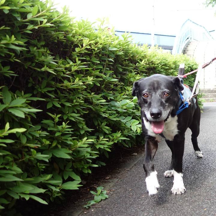 D40025fd 9199 480d 8234 10eef6a34a43 1749860875320