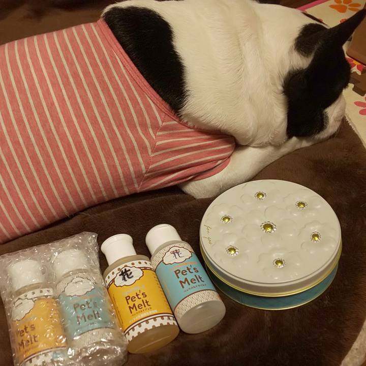 D4002e7a efff 4fc1 be53 ad9539bf1ed1 1578747236274