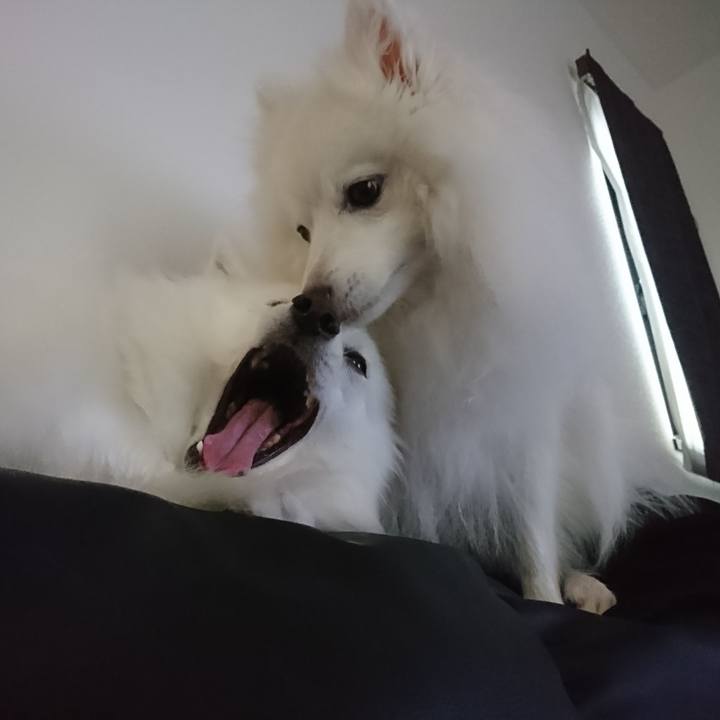 D40040d9 428d 4c4d 8da5 cd7342d2cce5 1602133213515