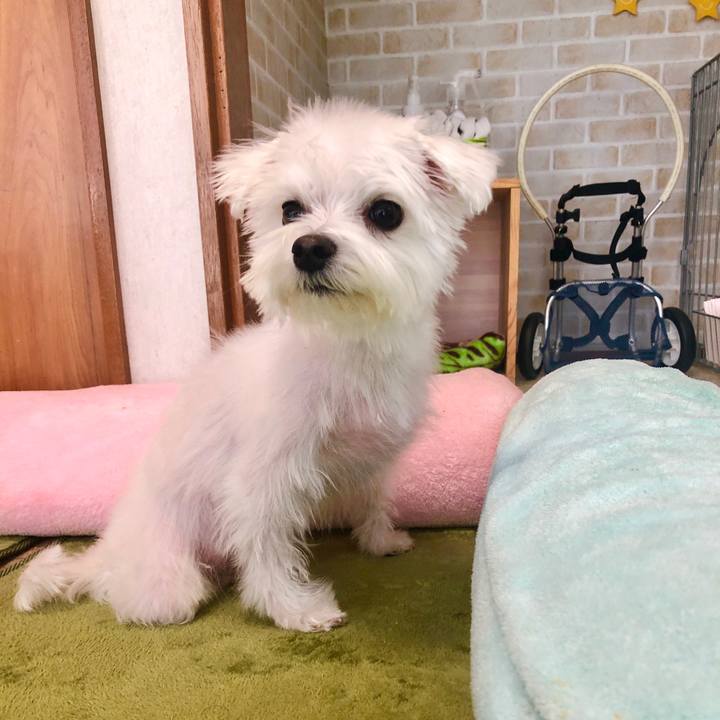 D4006da8 e3bb 47cc ab6b dbede51075bb 1586580134780