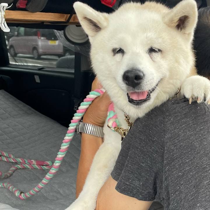 D4007f7d 6086 4b32 ace6 f292bf6655fe 1727683923777