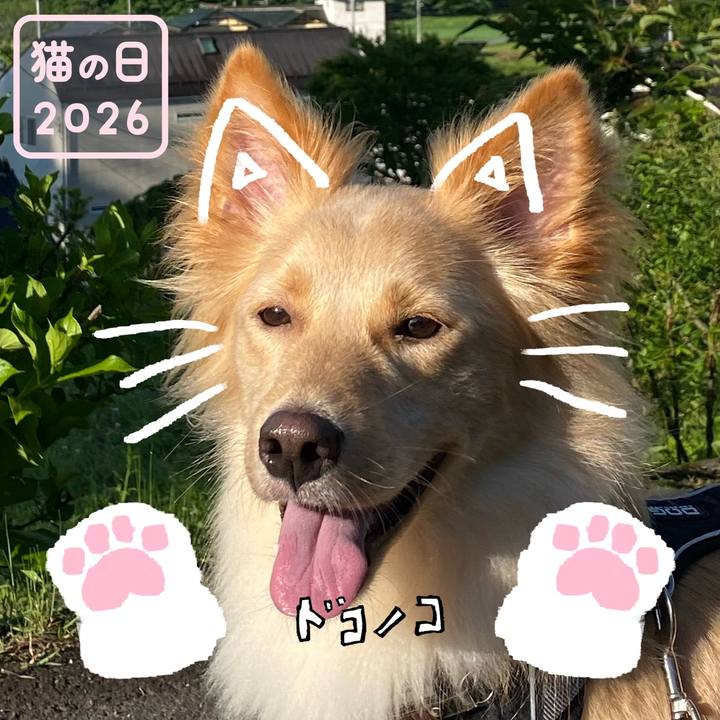 D400b7c8 8a2f 4094 85eb 18c2a49416b6 1771694536318