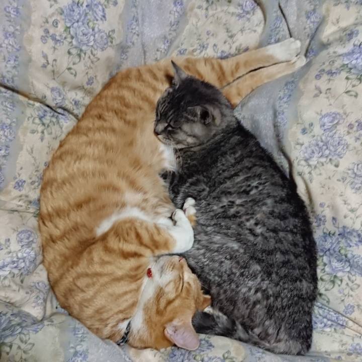 D400eb1b 8056 4ddf aac9 697e93f7ff9e 1575725158208