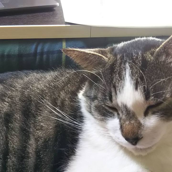 D400ece8 ed0f 4919 9fcd 84d22ab2b87b 1639495782947