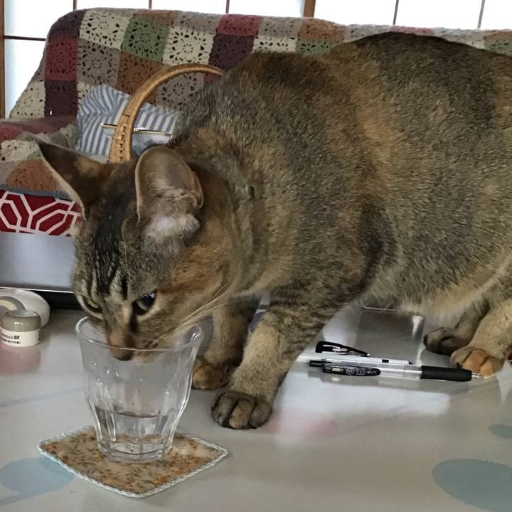 D400fd69 ac65 44d6 9234 61ea13553bb9 1582583247728