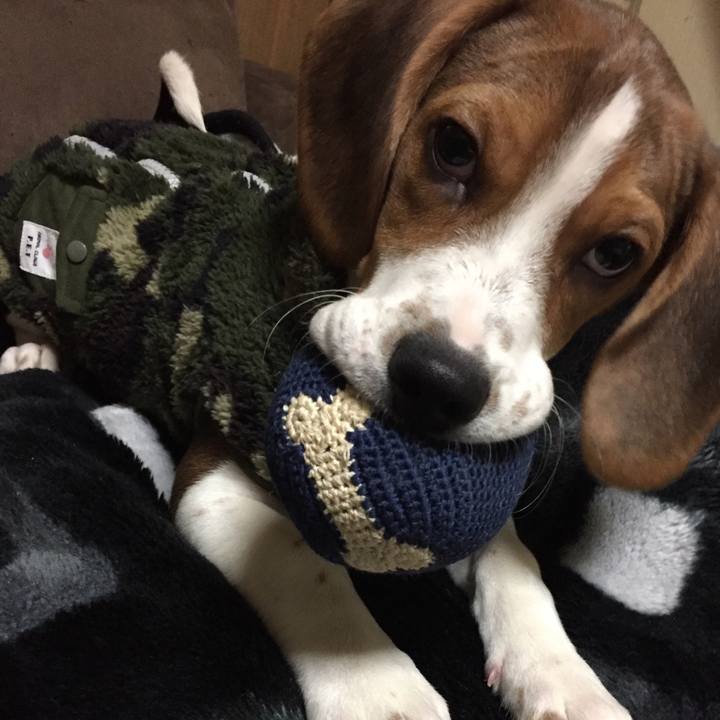 D4011b23 e87f 4447 bacd f0c383bc5078 1515856031625