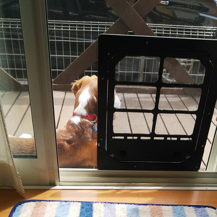 D4013ce0 7ba8 4e0d a337 d69d59335c5c 1620446692824