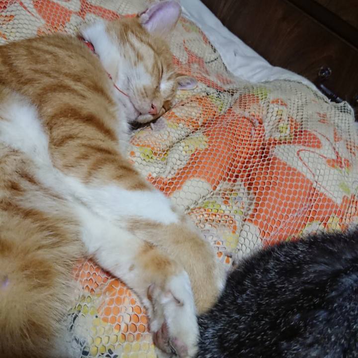 D4013eff 6af5 447b 8114 c9115c2e1965 1570110952751