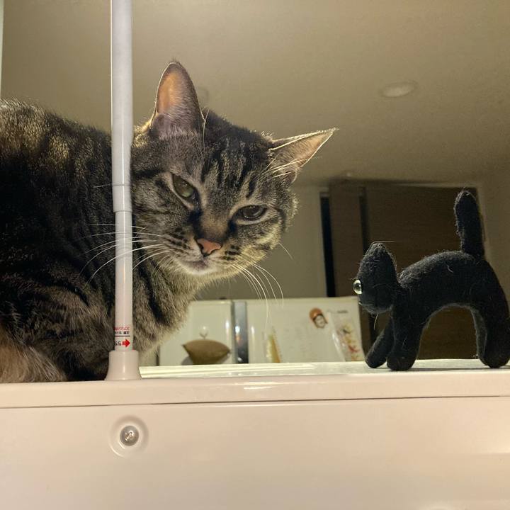 D4014f58 cb0f 45b1 928c 558abdf76b4d 1612100405247