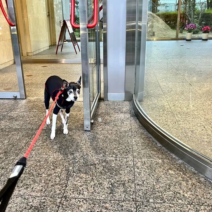 D4016bcd d5f4 4404 a904 72fc88a4e265 1647299638591