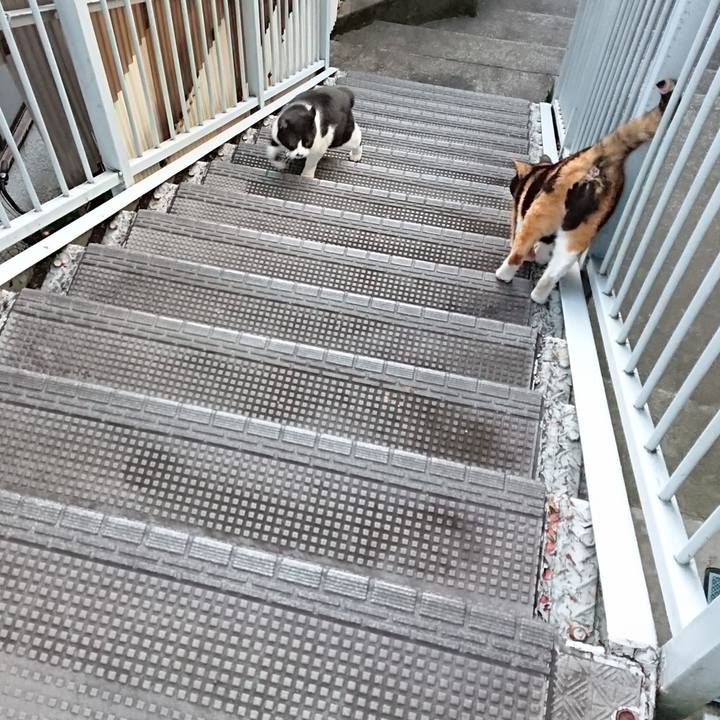 D4018887 18bb 4cff bcd8 21c9e4442622 1668137060372