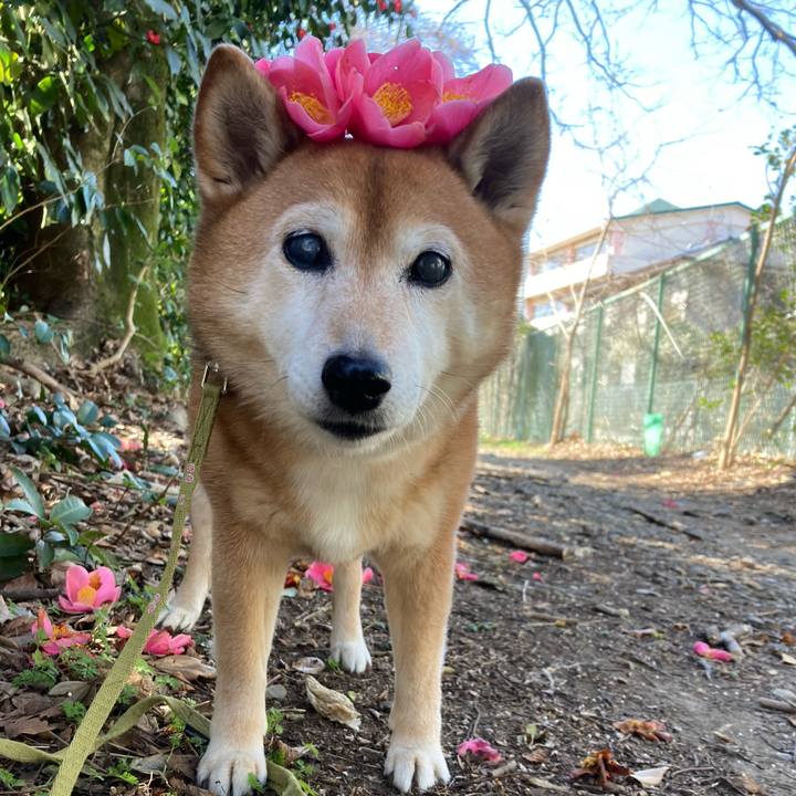 D40191e0 582b 4066 a3d6 0cefdd186fce 1677902829977