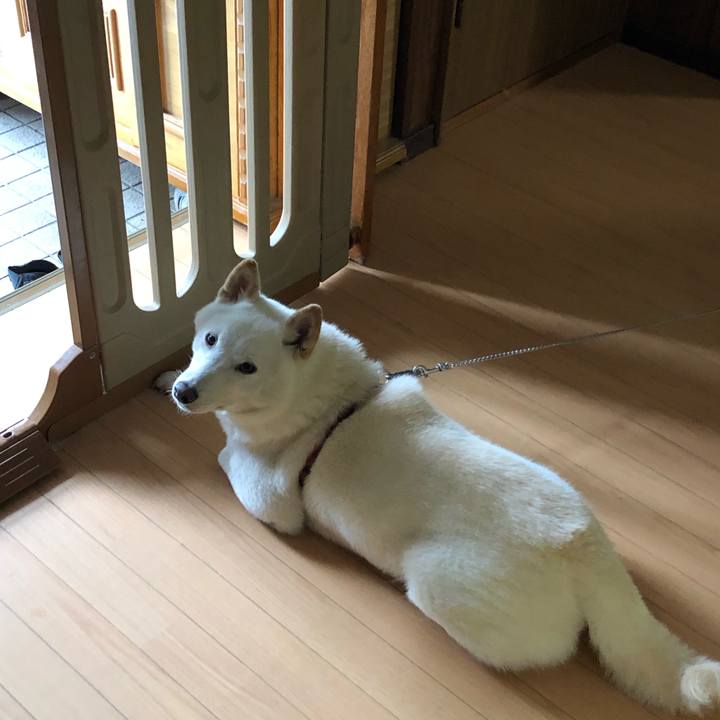 D4019dea beb0 41d3 bfe6 1d41ff0ed963 1565569729324