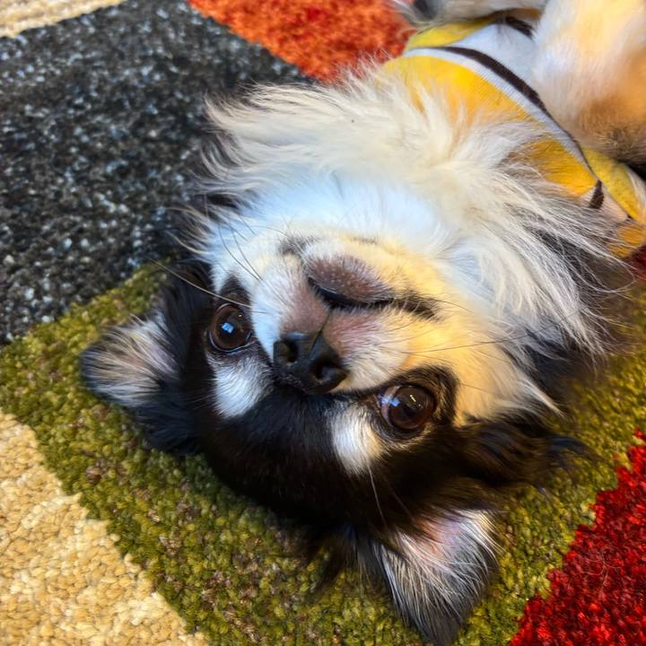 D401a219 bf52 4731 9493 8499f6a6db4a 1746377179459