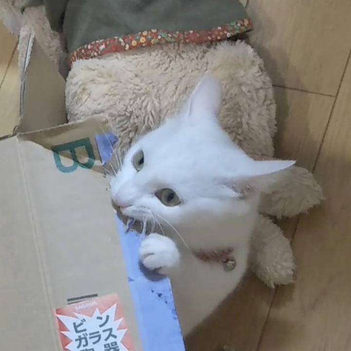 D401abf3 df11 4160 9936 4b910b173e6e 1626651648075