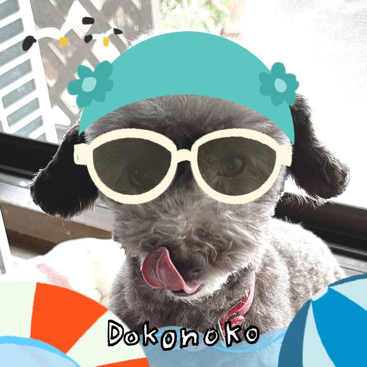 D401cb78 2e03 438c ac9f 9c44525e4bfd 1723245662906