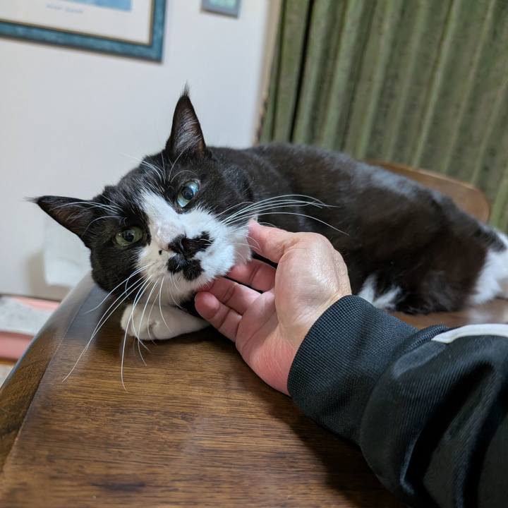 D401d16e 489d 4fc6 a842 695ccb58ae9a 1764079178890