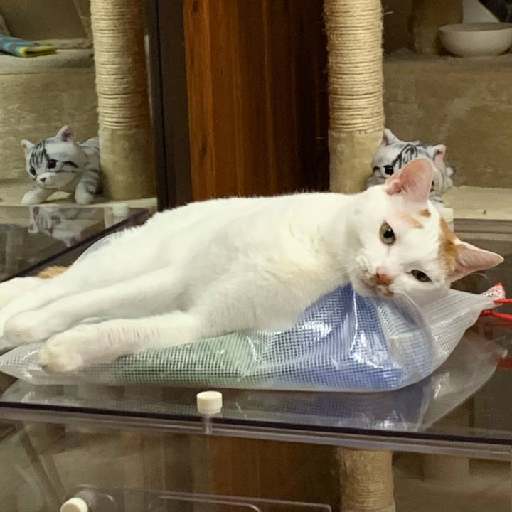 D401d5e1 8a47 459d a0b3 f3e3fc8e8c0d 1579903551971