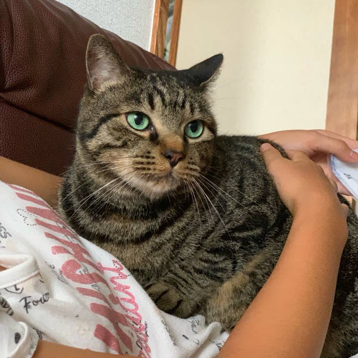 D401f7c0 44a8 4287 a3c6 5178e19b842a 1565665710618