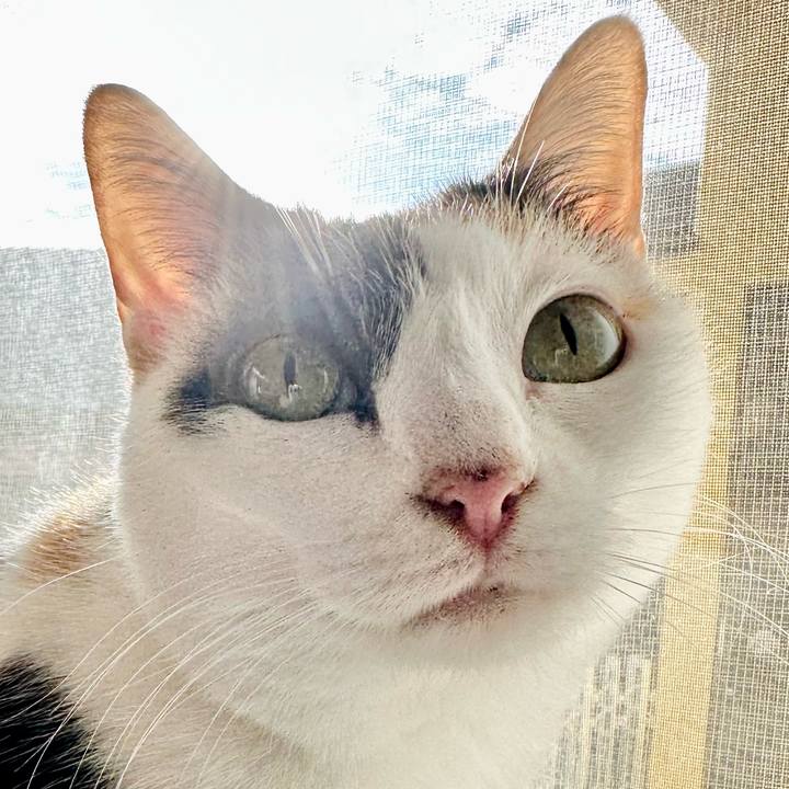 D402000c 0534 41e4 b48b c584de7c4e59 1667008227521