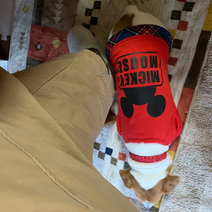 D402023f 3a83 4601 b0b7 b9bb8ed2564e 1609654590639