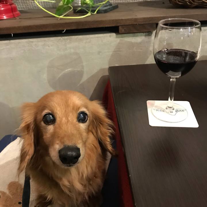 D4027f74 2b73 440d b077 e821abbdd9d6 1604836053339