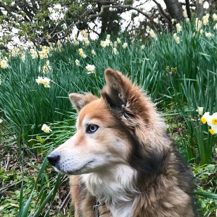 D402826c aa50 41ab b913 f130d8b4cc7b 1579963249496