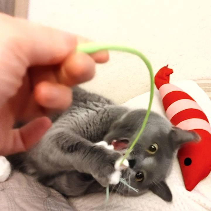 D4028496 5ef6 44da 9698 406f656277bc 1616902603082