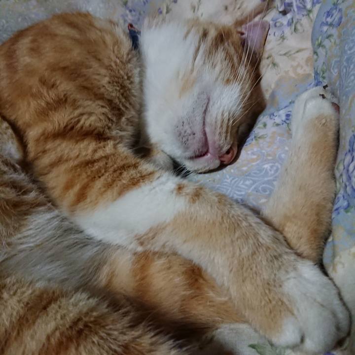 D4029304 5a15 487d 992a 77e5e5619260 1563798454877