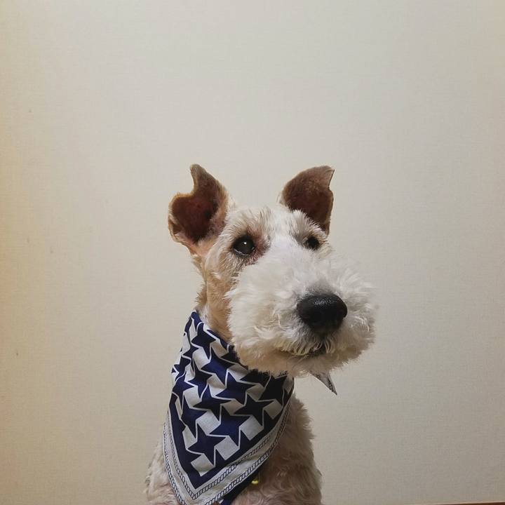 D402b34f 601f 4b2e 92e1 1bc2a9967d5f 1553088920084