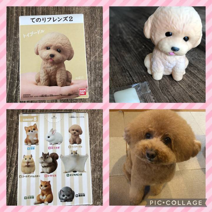 D402d833 e428 47c0 bb66 d56ad0449f95 1613445482497