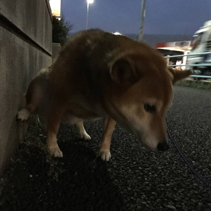 D402ebe7 67b0 404f 9924 8638cbc171de 1543224471233