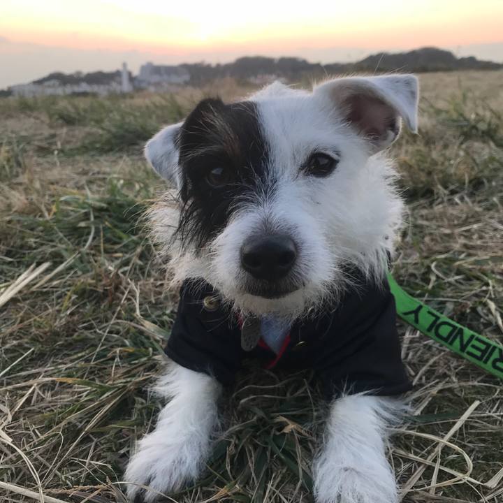 D402f45d 1de0 453e b99a b388e1ecbf75 1512115423510