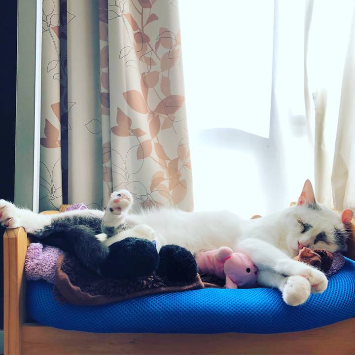 D4032639 4c0e 4920 9f57 ce574c49d591 1545861474751