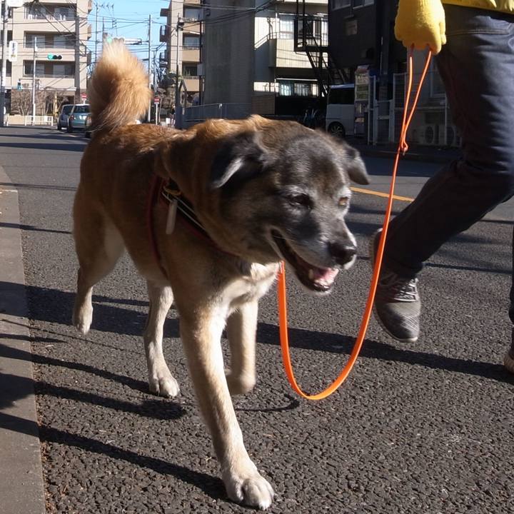 D4033636 ec1a 4542 86b7 e1ecf22c523b 1598830046719