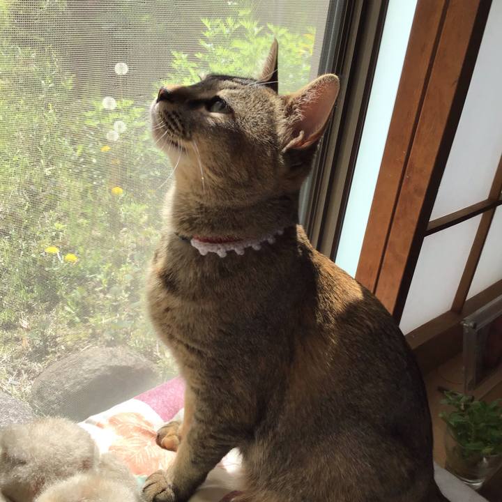 D40378fb 2961 41d5 a46f b18740d8403c 1587529054795